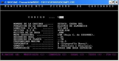 AÑO 1995 - Pantalla de datos del FICHERO MÚLTIPLE DE CAVIDADES - Programa QUICK-BASIC